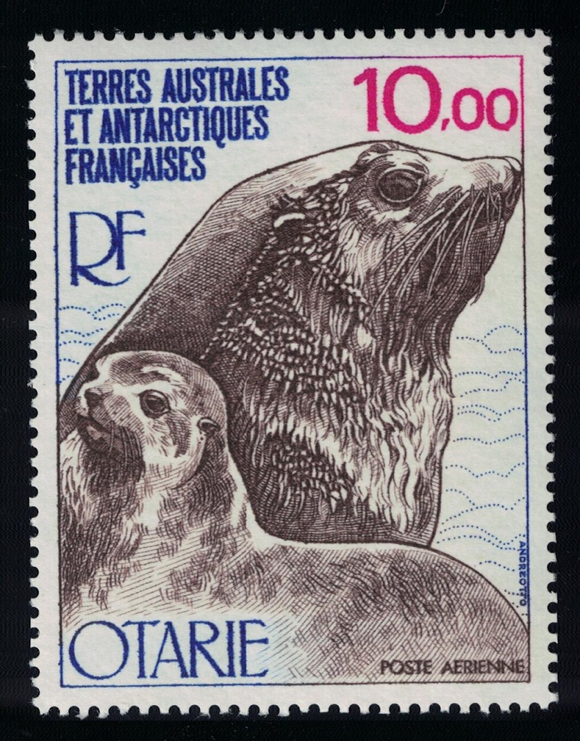 French Southern and Antarctic Territories Antarctic fur seal and cub Fauna Otarie 10Fr 1977 MNH SG#125 MI#119 Sc#C48