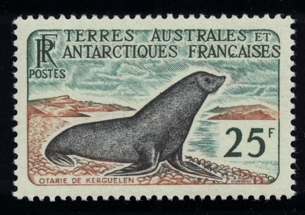 French Southern and Antarctic Territories Kerguelen fur seal 25f 1960 MNH SG#14 Sc#18