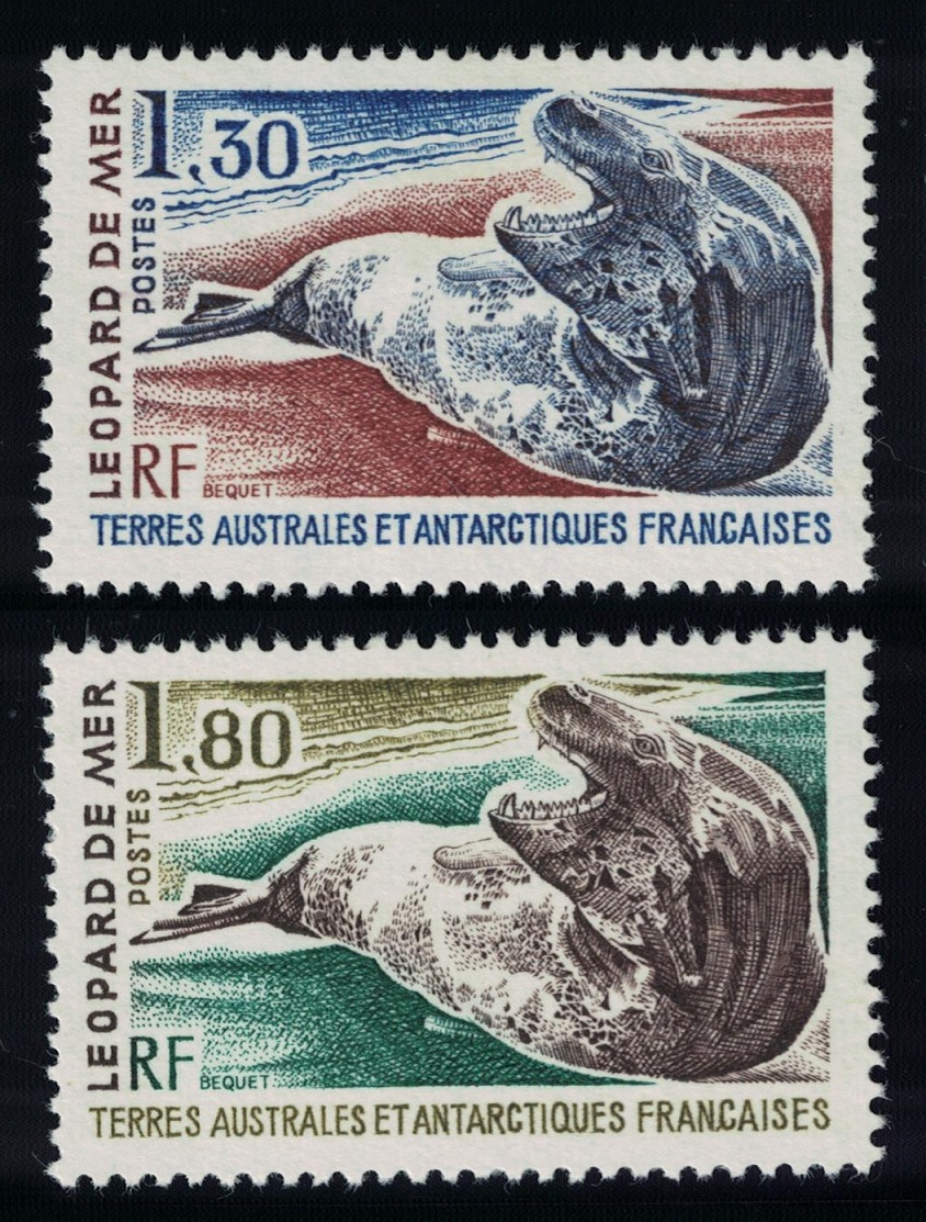 French Southern and Antarctic Territories Leopard Seal 2v 1980 MNH SG#152-153 MI#152-53