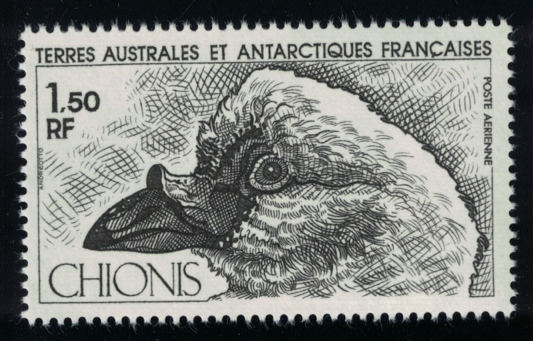 French Southern and Antarctic Territories Bird Black-faced Sheathbill 1981 MNH SG#162 MI#162