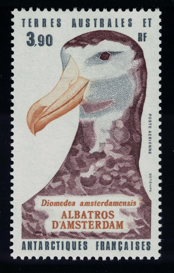 French Southern and Antarctic Territories Bird Albatross Antarctic Wildlife 1985 MNH SG#199 MI#199