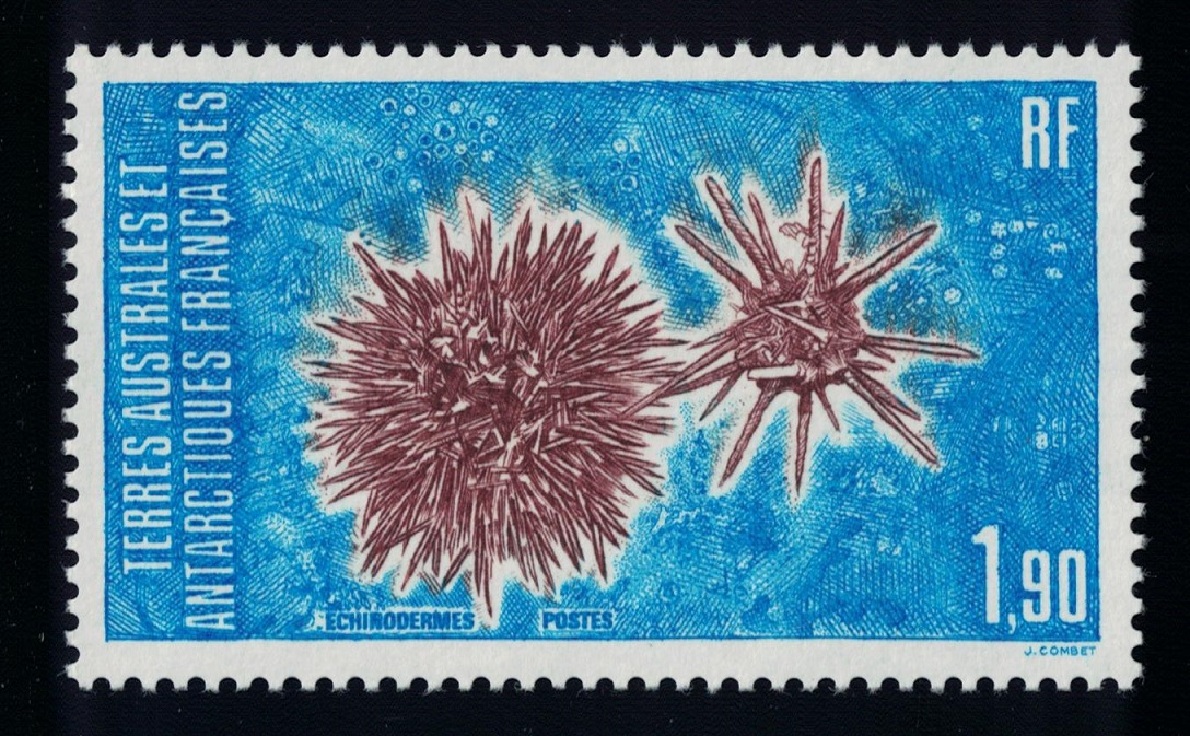 French Southern and Antarctic Territories Echinoderms 1986 MNH SG#211 MI#211