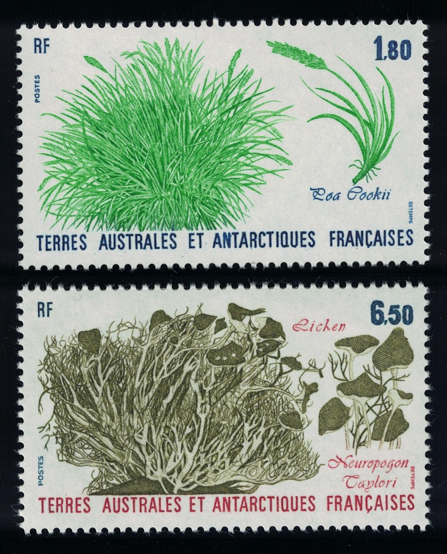 French Southern and Antarctic Territories Plants 2v 1987 MNH SG#221-222 MI#223-224