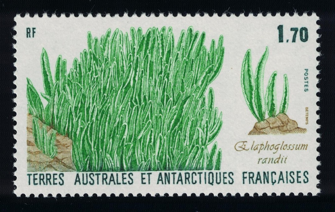 French Southern and Antarctic Territories Elephant Grass 1988 MNH SG#232 MI#233