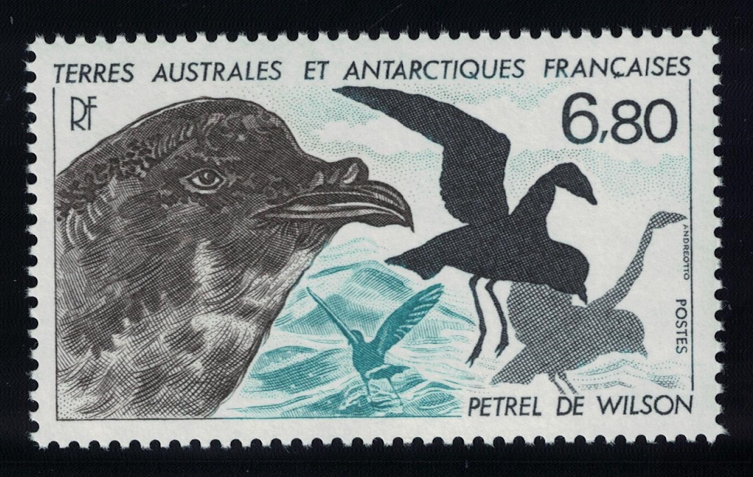 French Southern and Antarctic Territories Birds Wilson&#39;s petrel 1988 MNH SG#242 MI#241