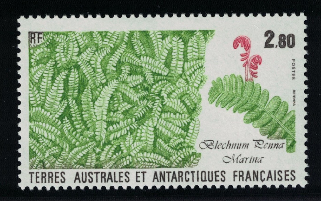 French Southern and Antarctic Territories Alpine water fern &#39;Blechnum penna marina&#39; 1989 MNH SG#246 MI#254