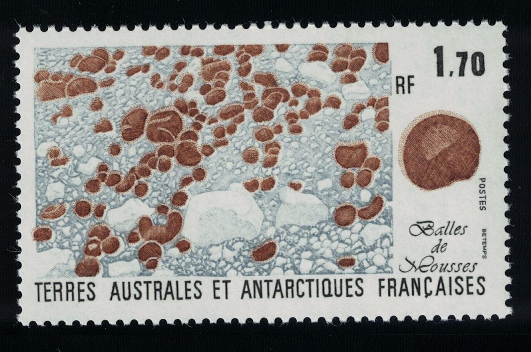 French Southern and Antarctic Territories Moss Balls in Shingle 1991 MNH SG#272 MI#274