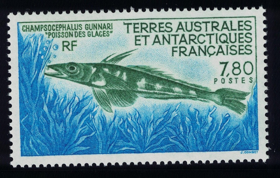 French Southern and Antarctic Territories Mackerel Icefish 1991 MNH SG#280 MI#275