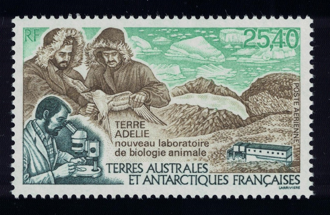 French Southern and Antarctic Territories Birds Skuas Animal Biology Laboratory 1993 MNH SG#318 MI#309