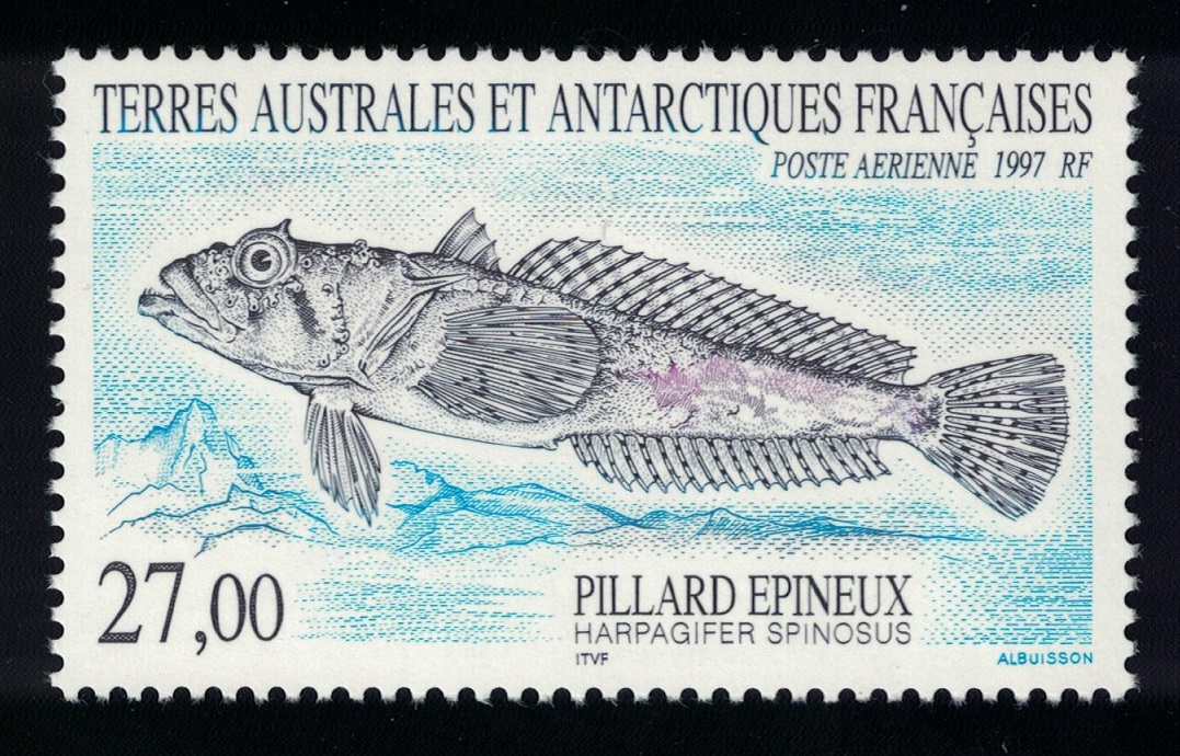 French Southern and Antarctic Territories Fish Spiny Plunderfish 1997 MNH SG#372 MI#358