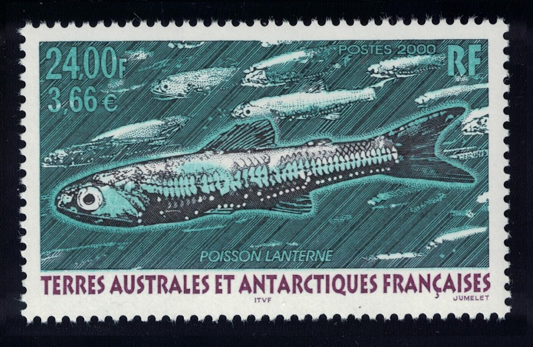 French Southern and Antarctic Territories Lantern Fish 2000 MNH SG#436 MI#418