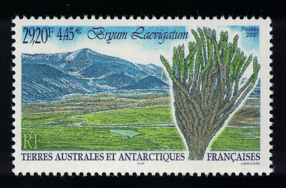 French Southern and Antarctic Territories &#39;Bryum laevigatum&#39; Plant 2001 MNH SG#451 MI#457