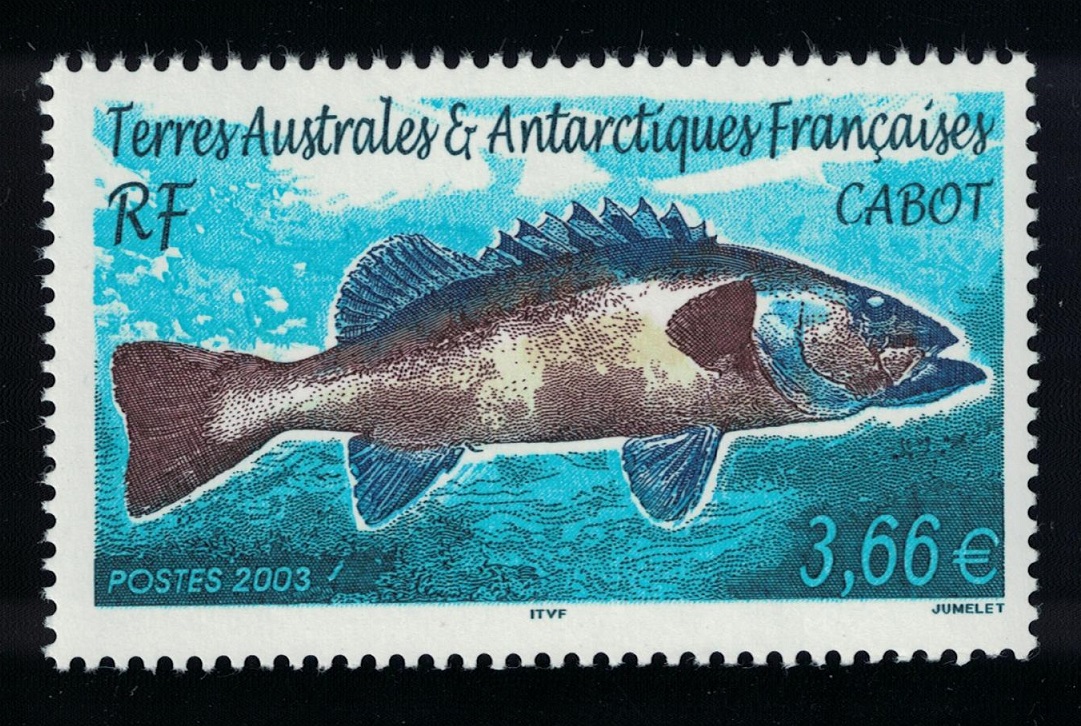 French Southern and Antarctic Territories Cabot Fish 2003 MNH SG#511 Sc#323