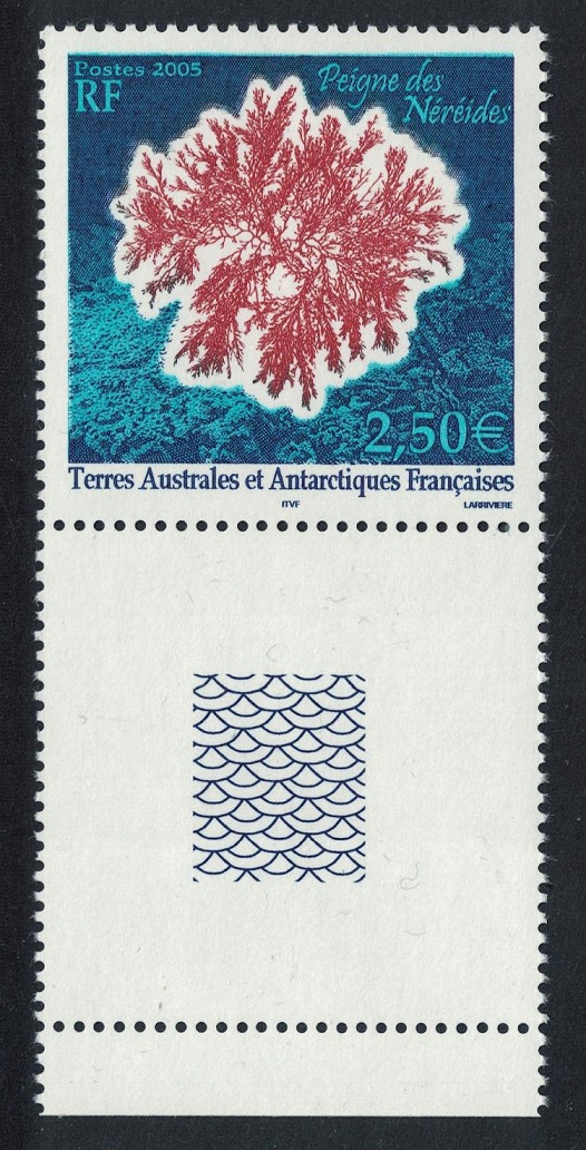 French Southern and Antarctic Territories &#39;Peigne des Neriedes&#39; Antarctic Flora Coin label 2005 MNH SG#537 MI#563