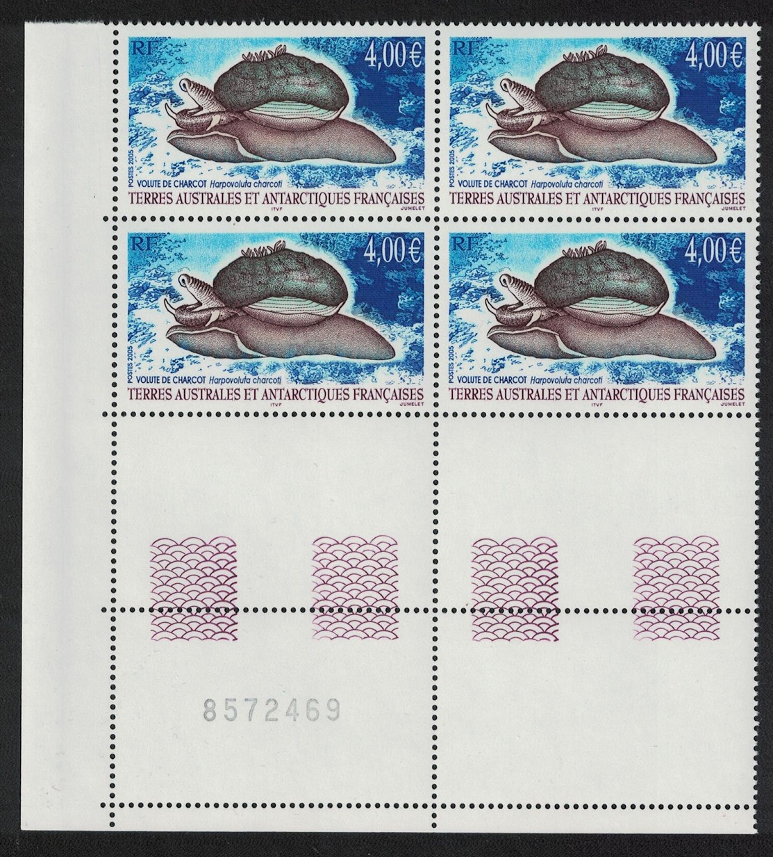 French Southern and Antarctic Territories Snail Volute de Charcot Corner Block of 4 Control Number 2005 MNH SG#538 Sc#352