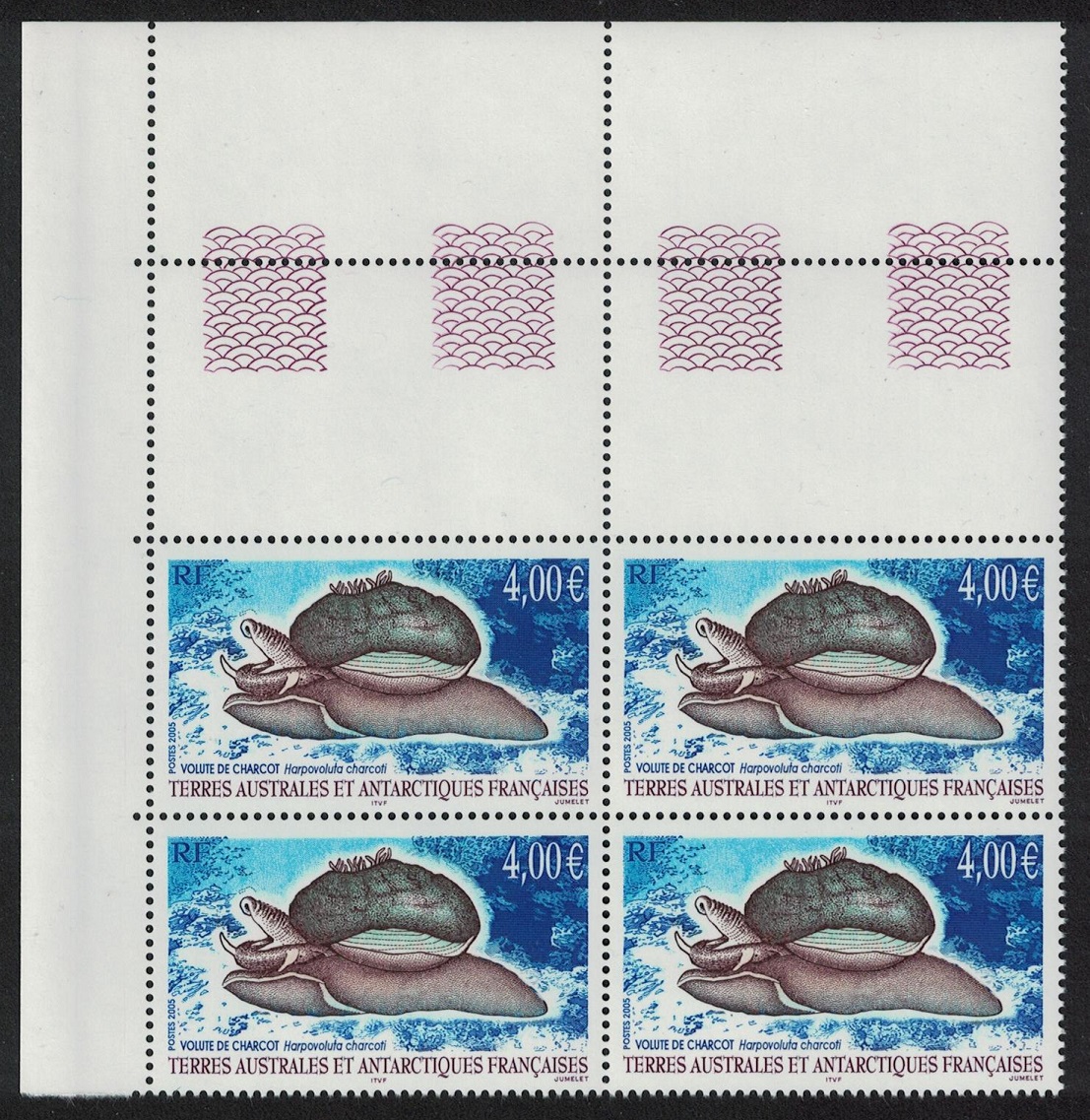 French Southern and Antarctic Territories Snail Volute de Charcot Corner Block of 4 2005 MNH SG#538 Sc#352