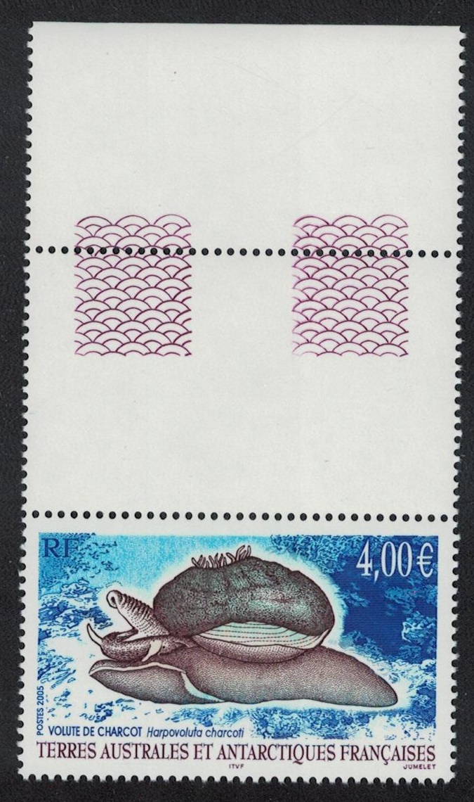 French Southern and Antarctic Territories Snail Volute de Charcot Coin Label 2005 MNH SG#538 Sc#352