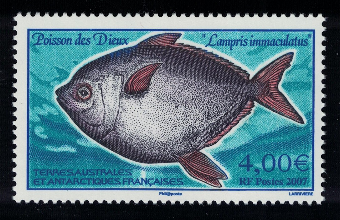 French Southern and Antarctic Territories Fish Southern opah Lampris immaculatus 2007 MNH SG#581 MI#609