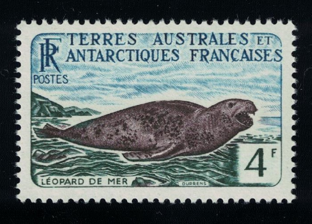 French Southern and Antarctic Territories Leopard seal Leopard de Mer 1960 MNH SG#7 MI#20