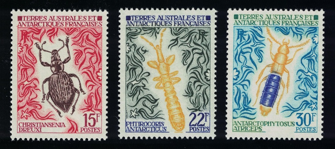 French Southern and Antarctic Territories Insects 3v 2nd issue 1972 MNH SG#72=75 MI#71-73