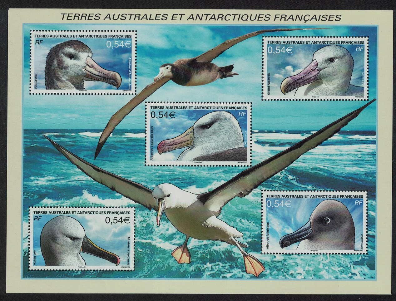 French Southern and Antarctic Territories Birds Amsterdam Albatross MS 2007 MNH SG#MS575 MI#Block 17