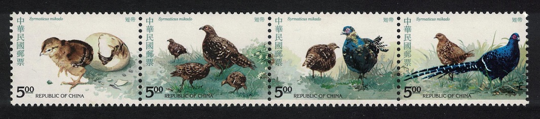 Taiwan Mikado Pheasant Birds 4v Strip 1993 MNH SG#2161-2164