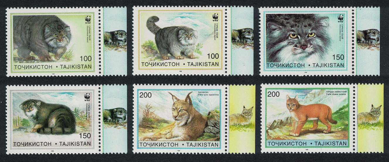 Tajikistan WWF Pallas&#39;s Cat 6v 1996 MNH SG#90-95 MI#94-99 Sc#92-97