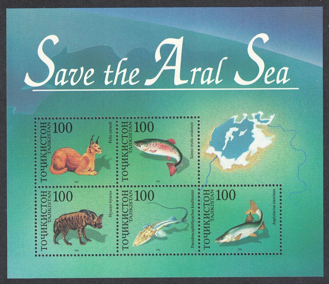 Tajikistan Animals Fish - Save the Aral Sea MS 1996 MNH SG#MS89 MI#Block 8