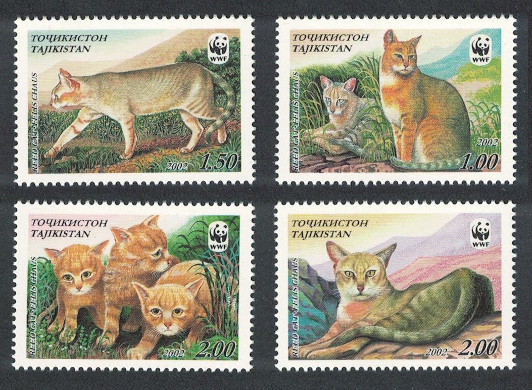 Tajikistan WWF Reed Cat 4v 2002 MNH SG#189-192 MI#208-211 Sc#185 a-d