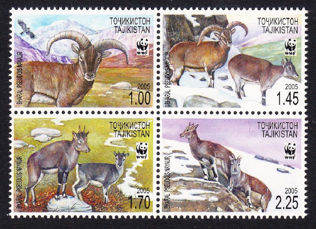 Tajikistan WWF Bharal 4v Block of 4 2005 MNH SG#282-285 MI#392-395 Sc#266 a-d