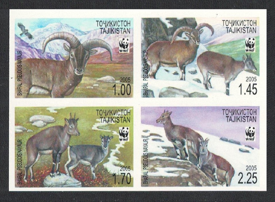 Tajikistan WWF Bharal Block of 4 imperf 2005 MNH SG#282-285 MI#392B-395B Sc#266 a-d