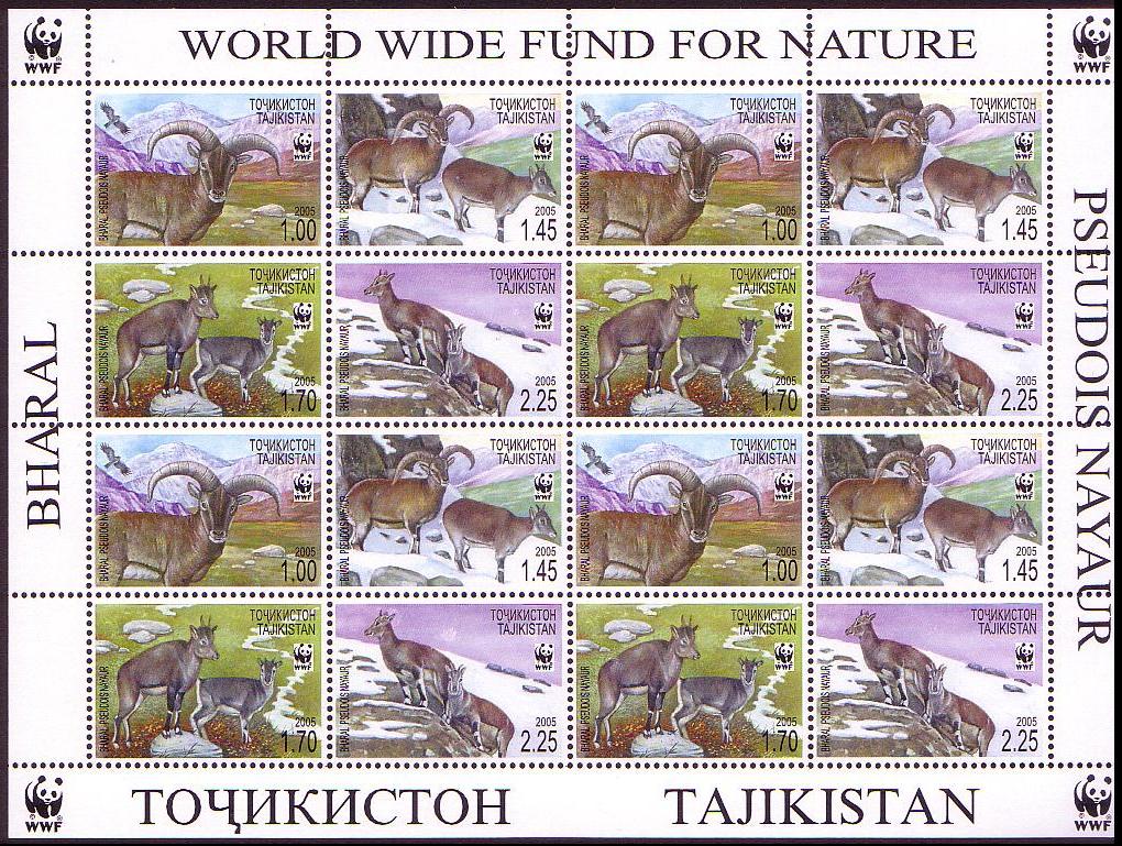 Tajikistan WWF Bharal Sheetlet of 4 sets 2005 MNH SG#282-285 MI#392-395 Sc#266 a-d