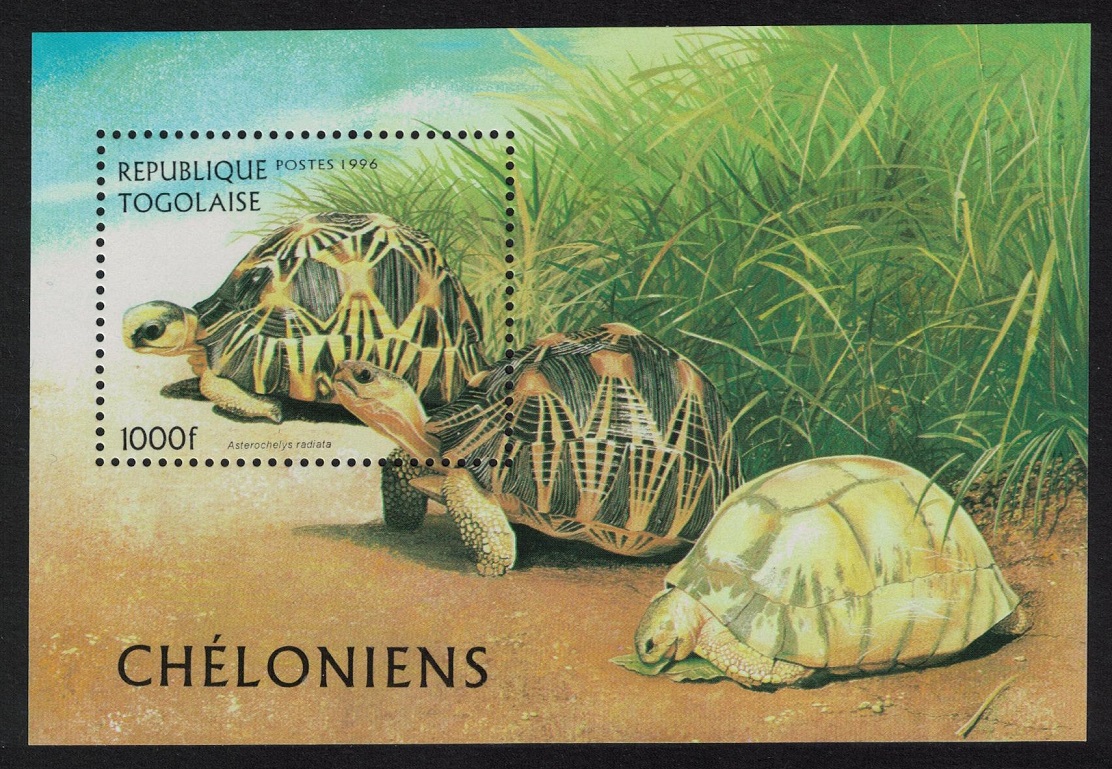 Togo Turtles and Tortoises MS 1996 MNH MI#Block 401 Sc#1795A