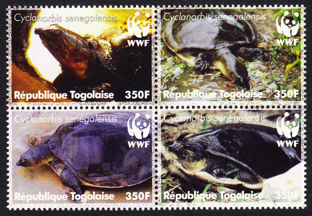 Togo WWF Senegal Flapshell Turtle 4v in block 2*2 2006 MNH MI#3337-3340 Sc#2039a-d