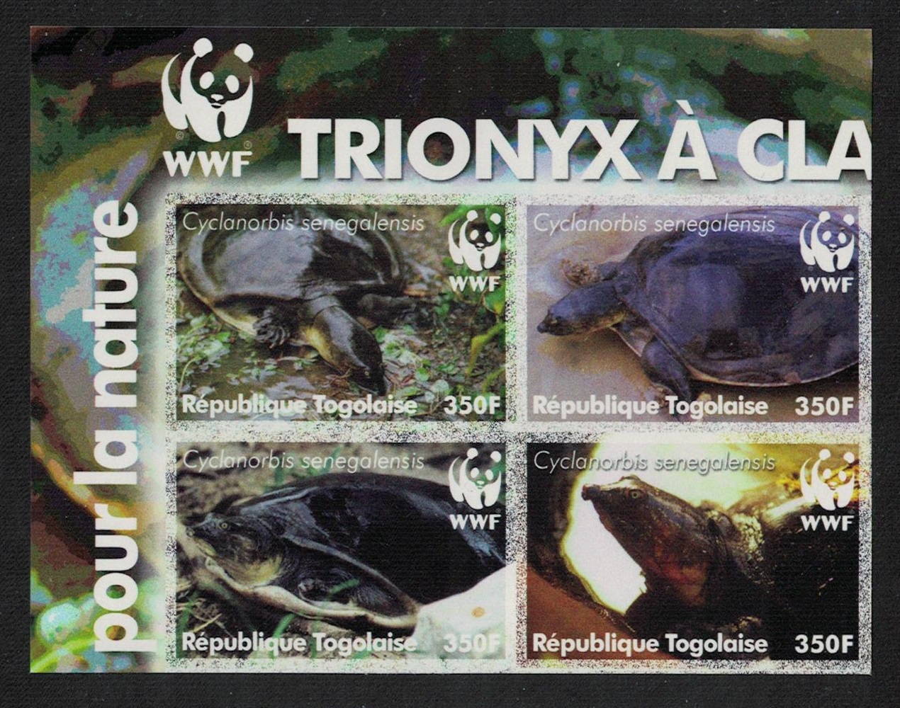 Togo WWF Senegal Flapshell Turtle 4v in block 2*2 IMPERF WWF Logo 2006 MNH MI#3337-3340 Sc#2039a-d