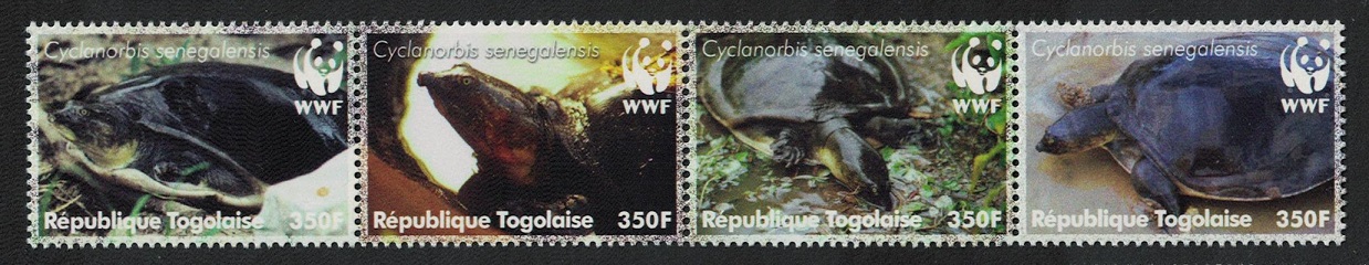 Togo WWF Senegal Flapshell Turtle Strip of 4v 2006 MNH MI#3337-3340 Sc#2039a-d