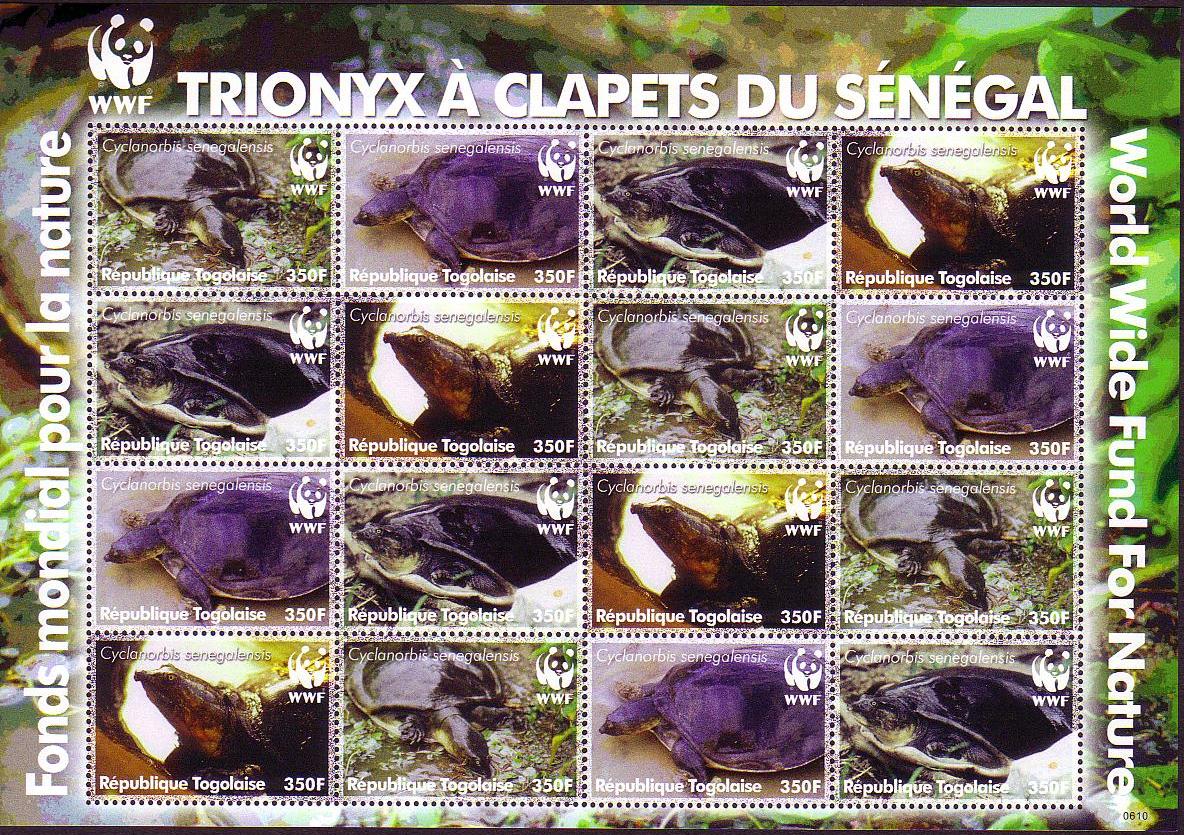 Togo WWF Senegal Flapshell Turtle Sheetlet of 4 sets 2006 MNH MI#3337-3340 Sc#2039a-d