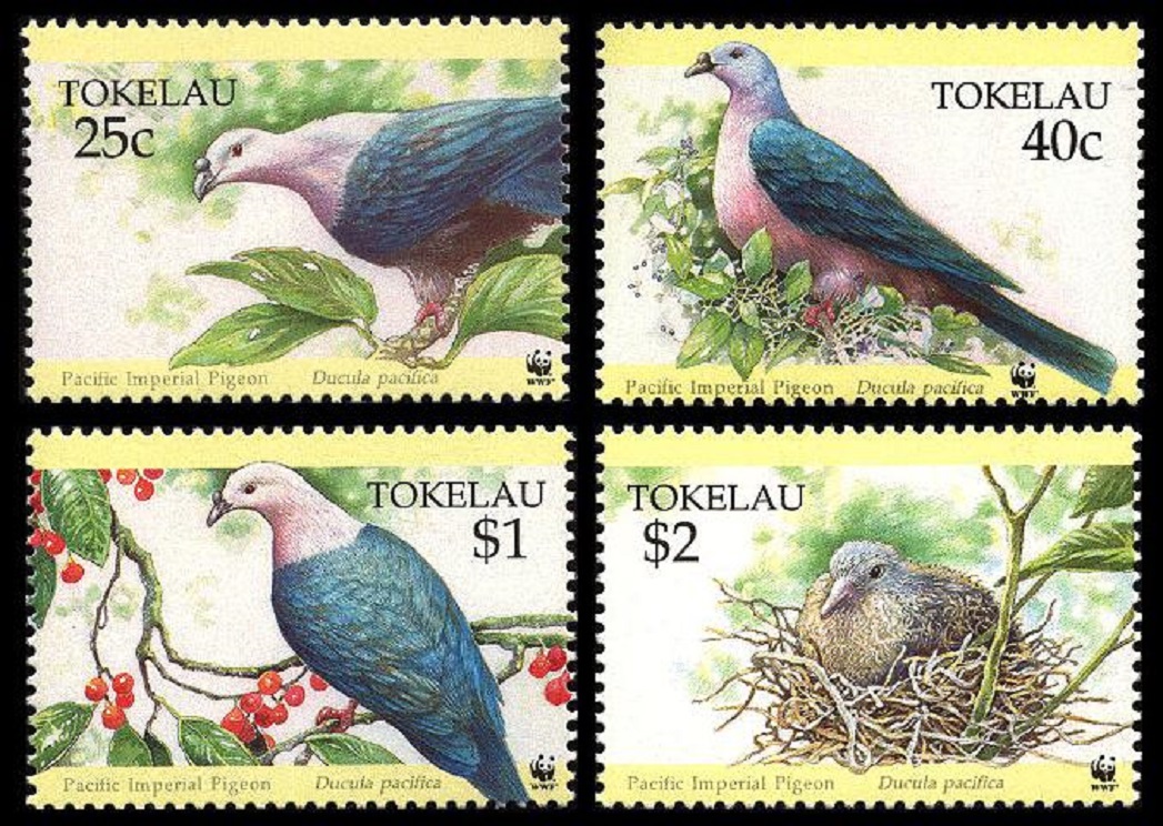 Tokelau WWF Birds Pacific Imperial Pigeon 4v 1995 MNH SG#220-223 MI#210-213 Sc#204-207