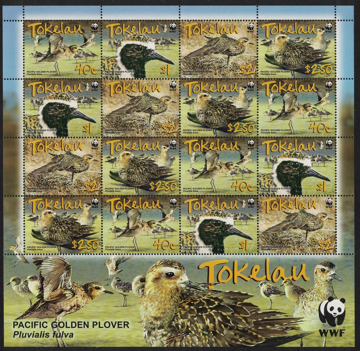 Tokelau Birds WWF Pacific Golden Plover Sheetlet of 4 sets 2007 MNH SG#382-385 MI#368-371 Sc#349-352