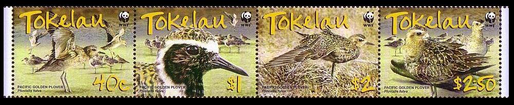 Tokelau Birds WWF Pacific Golden Plover Strip of 4v 2007 MNH SG#382-385 MI#368-371 Sc#349-352