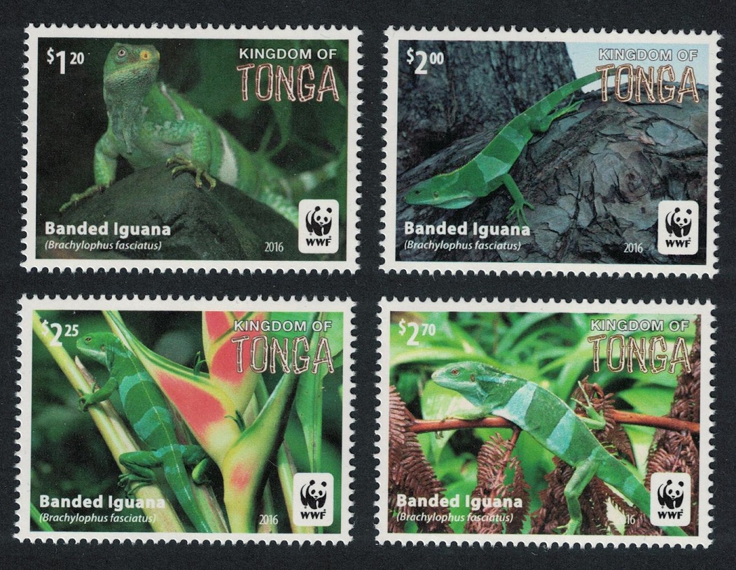 Tonga WWF Banded Iguana 4v Frame 2016 MNH SG#1804-1808