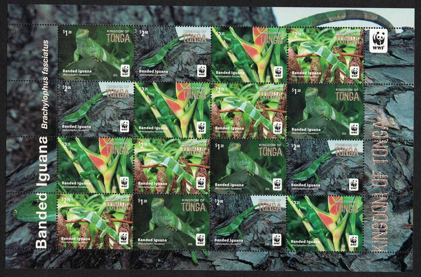 Tonga WWF Banded Iguana Sheetlet of 4 sets 2016 MNH SG#1804-1807