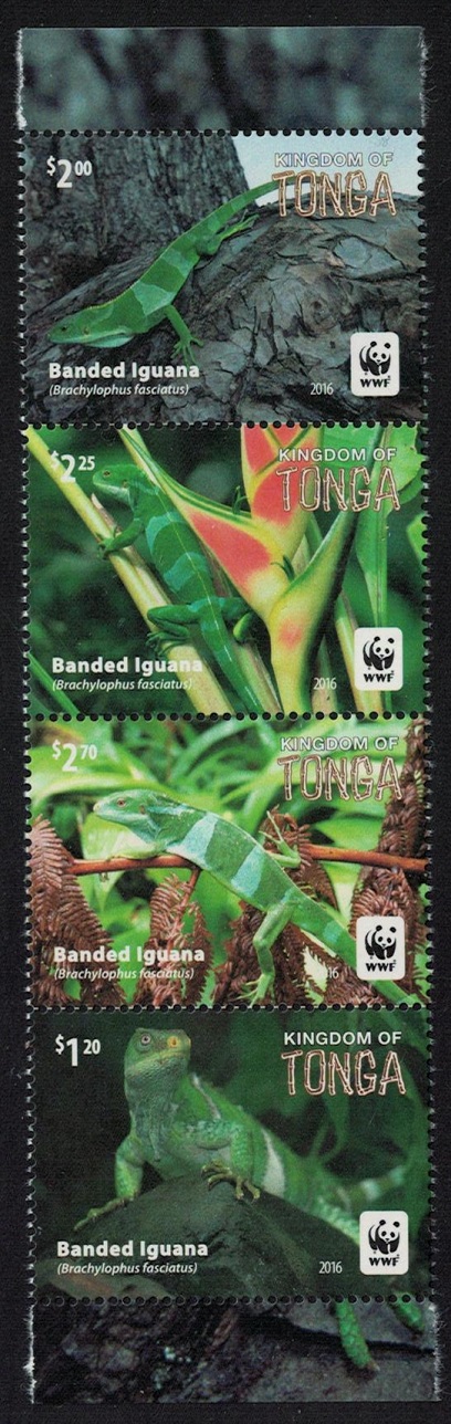 Tonga WWF Banded Iguana Strip of 4v 2016 MNH SG#1804-1808