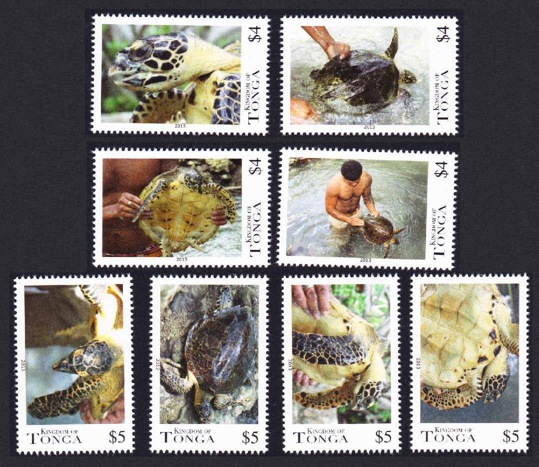 Tonga Turtles 8v 2013 MNH SG#1665-1672 Sc#1197-1198