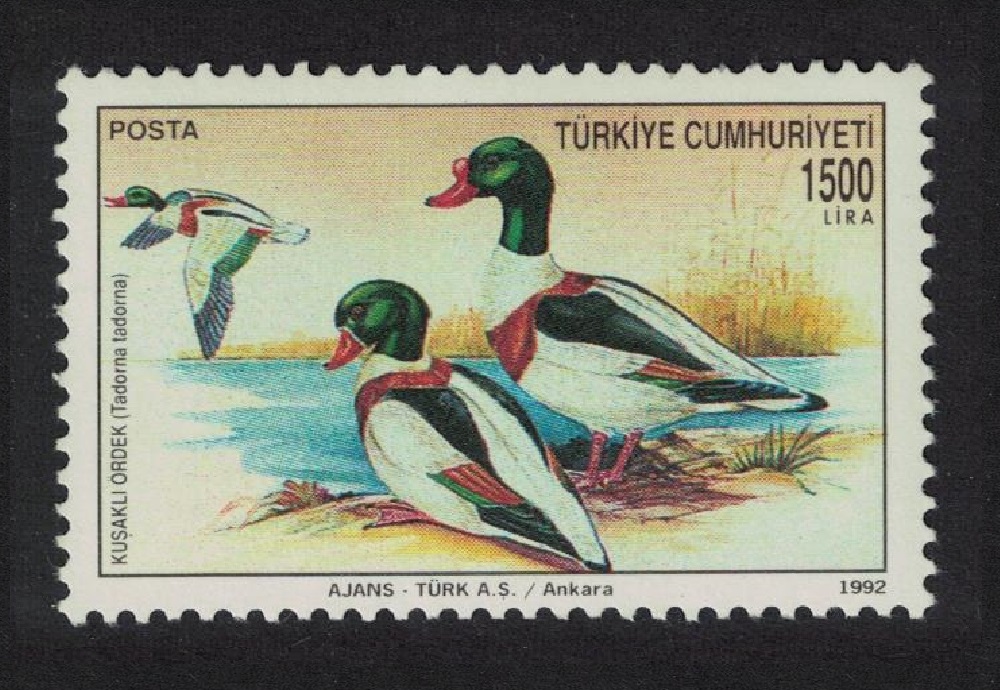 Turkey Common Shelduck Bird Def 1992 MNH SG#3150