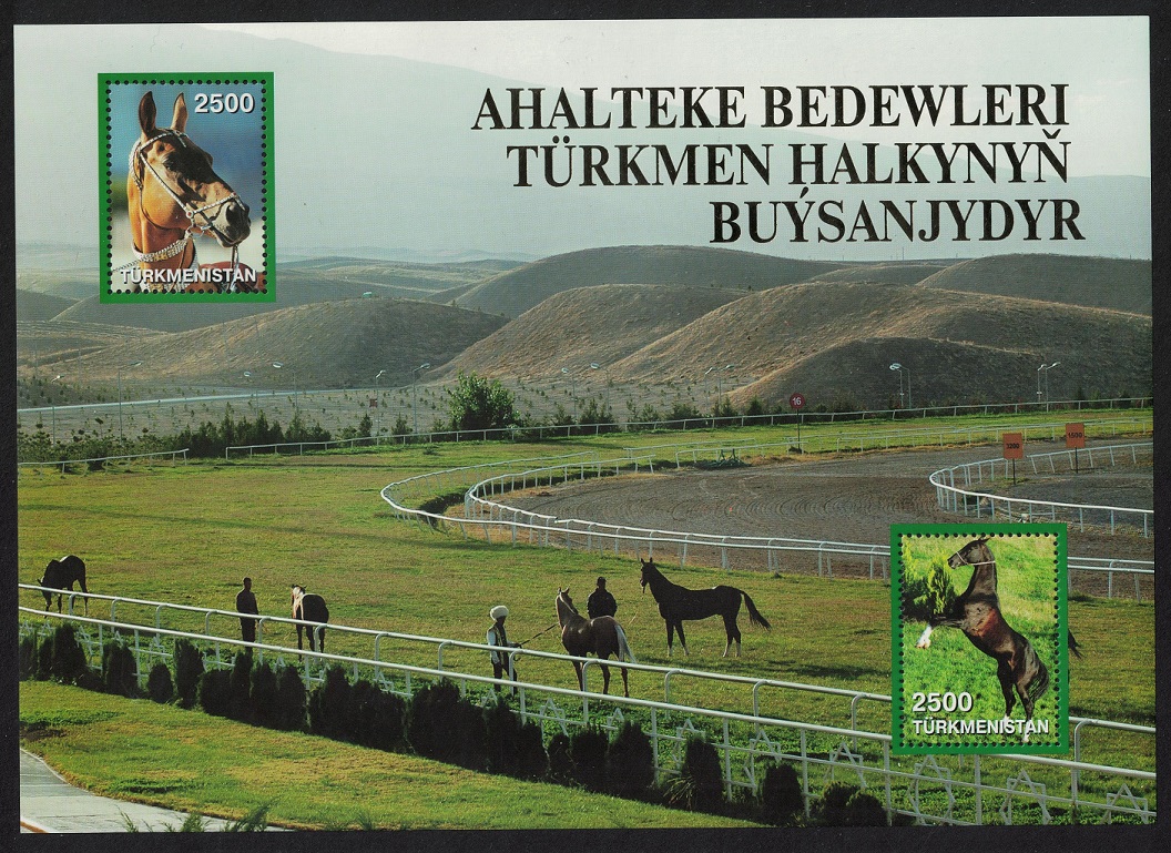 Turkmenistan Akhal-Teke Horse wearing decorative bridle Sheet 2005 MNH SG#MS120a