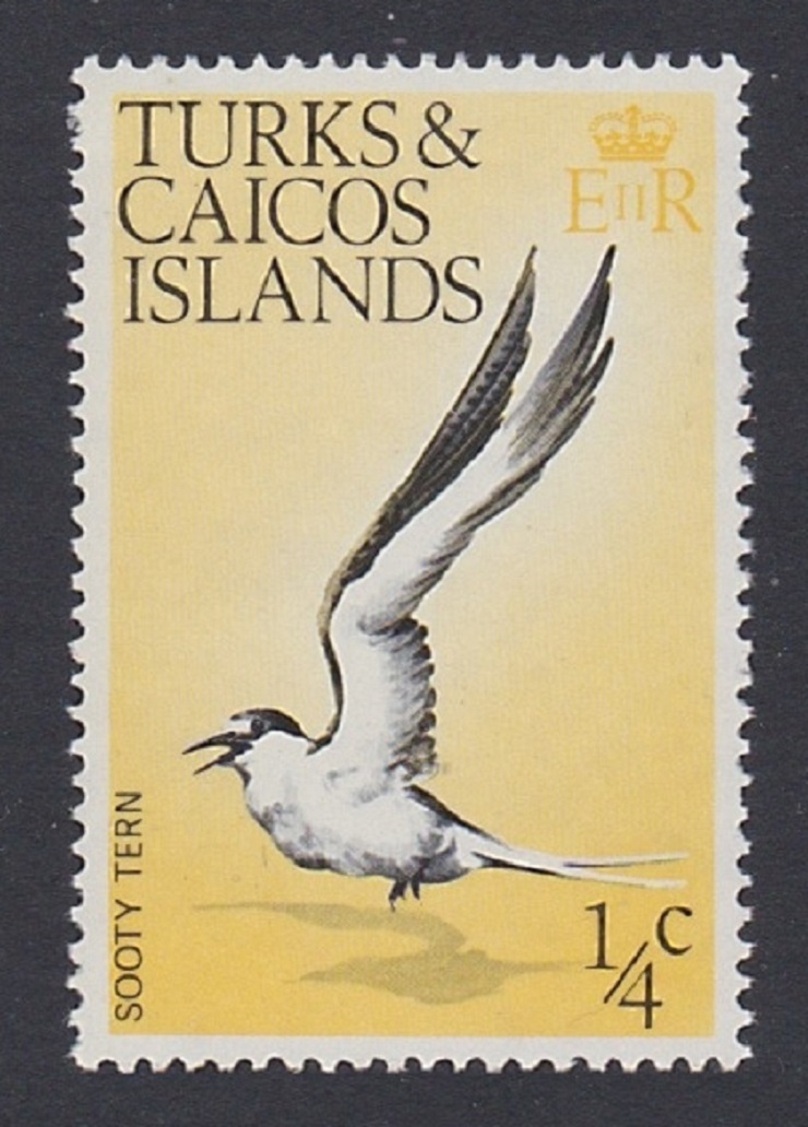 Turks and Caicos Islands Sooty Tern Bird 1973 MNH SG#381