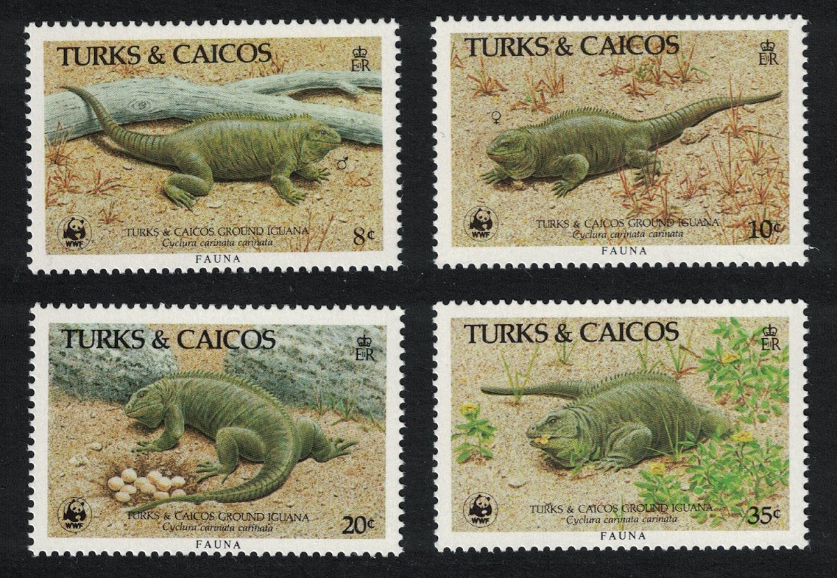 Turks and Caicos Islands WWF Ground Iguana 4v 1986 MNH SG#888-891 MI#777-780 Sc#710-713