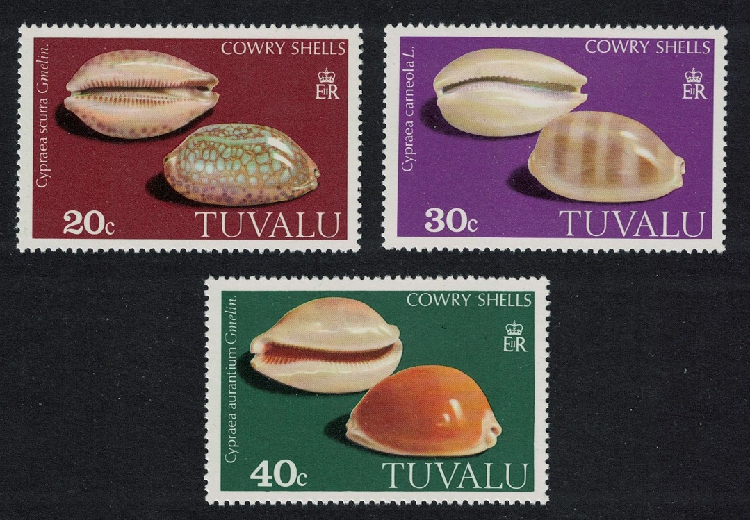 Tuvalu Cowrie Shells 3v 1980 MNH SG#140-142