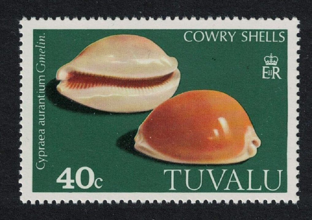 Tuvalu Golden cowrie Shell &#39;Cypraea aurantium&#39; 40c 1980 MNH SG#142